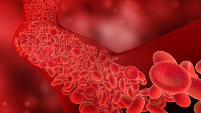 Triglycerides the values in the norm