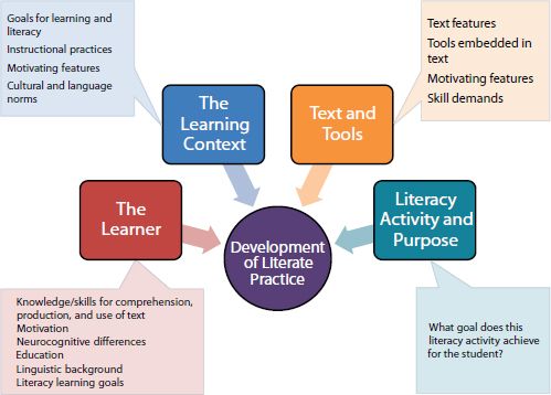 Adult Literacy Programs: Impact and Effectiveness